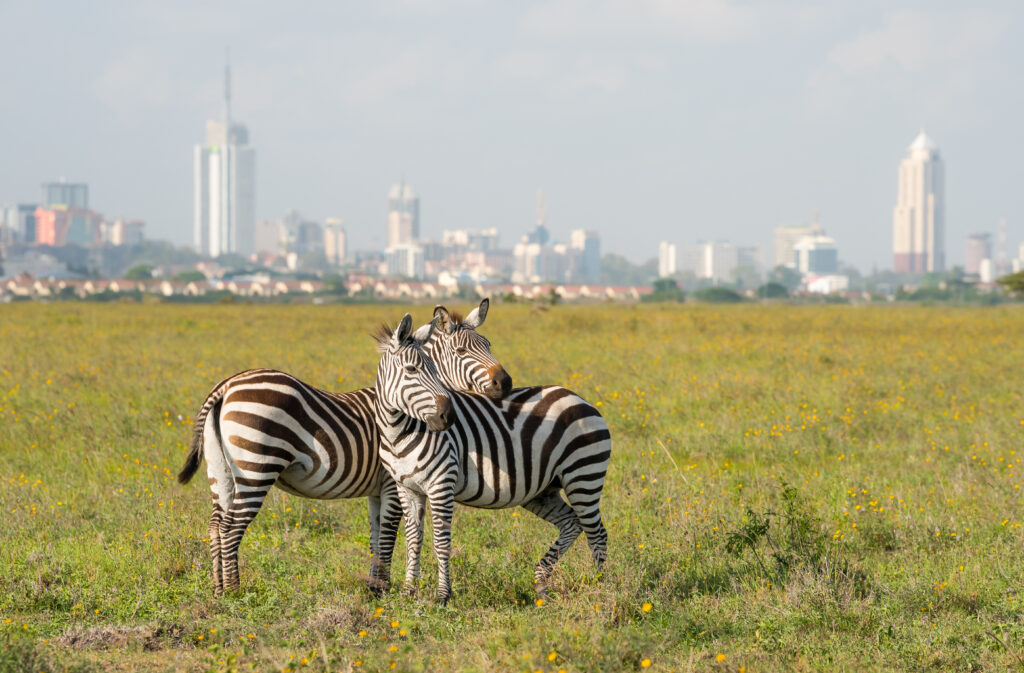 Nairobi: The City in the Sun